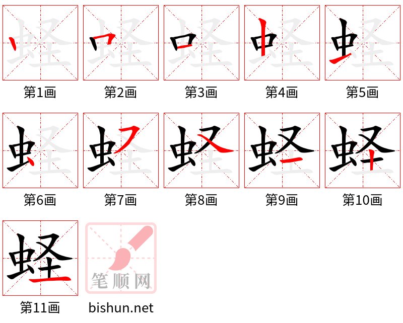 蛏 笔顺规范