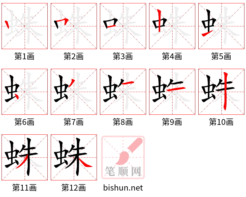 蛛 笔顺规范