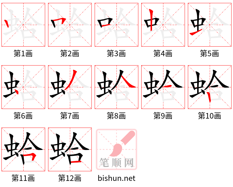 蛤 笔顺规范