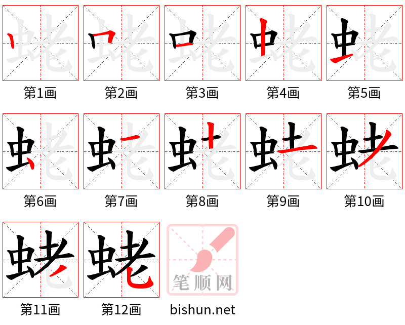 蛯 笔顺规范