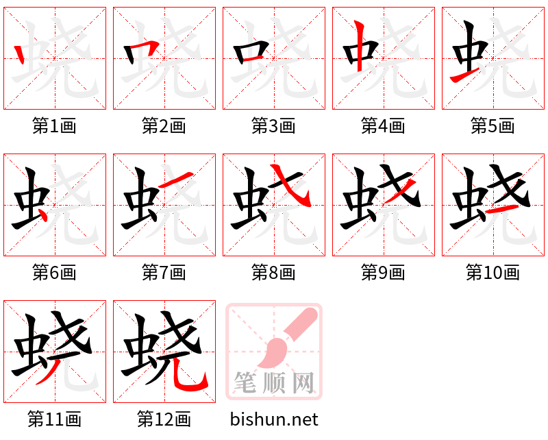 蛲 笔顺规范