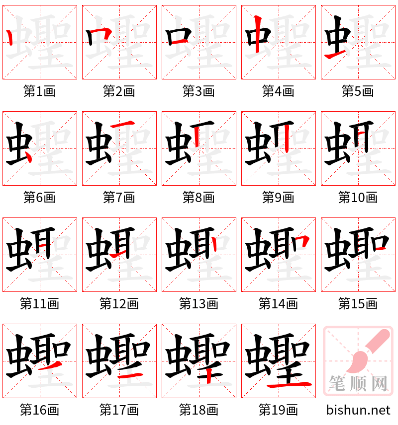 蟶 笔顺规范