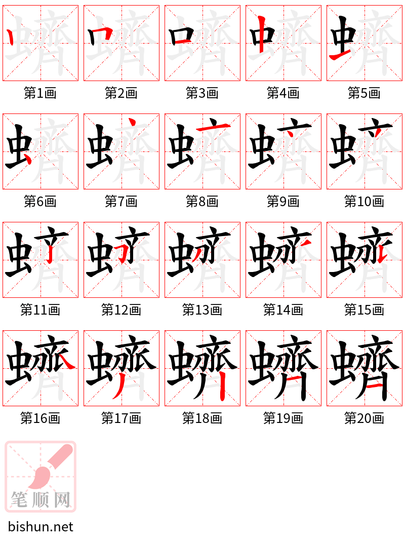 蠐 笔顺规范