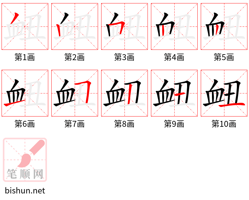 衄 笔顺规范