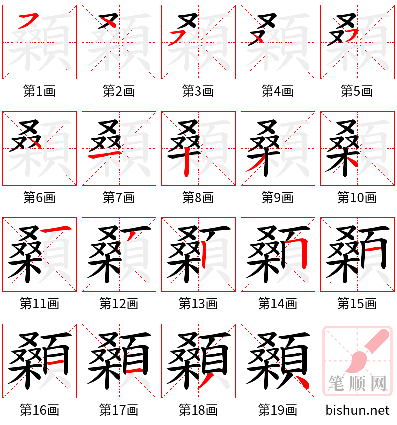 顙 笔顺规范