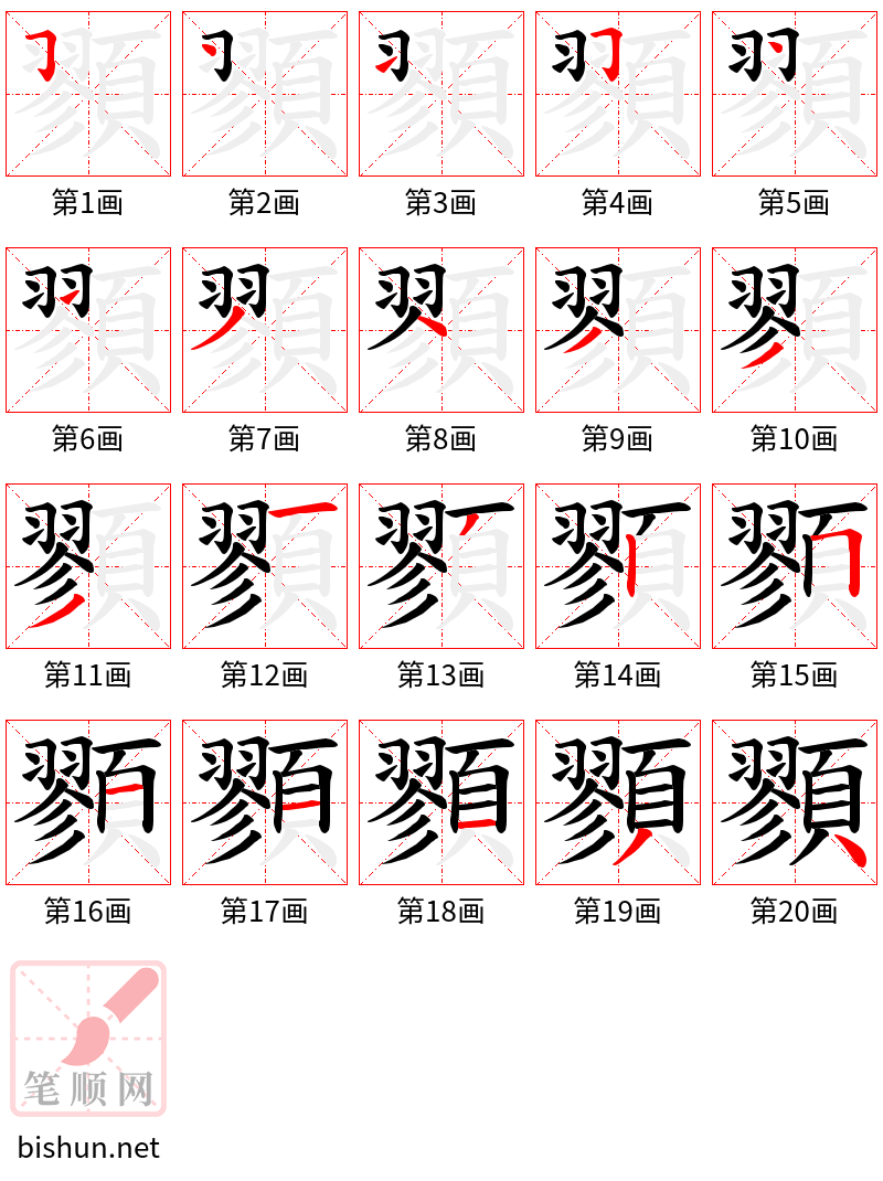 顟 笔顺规范