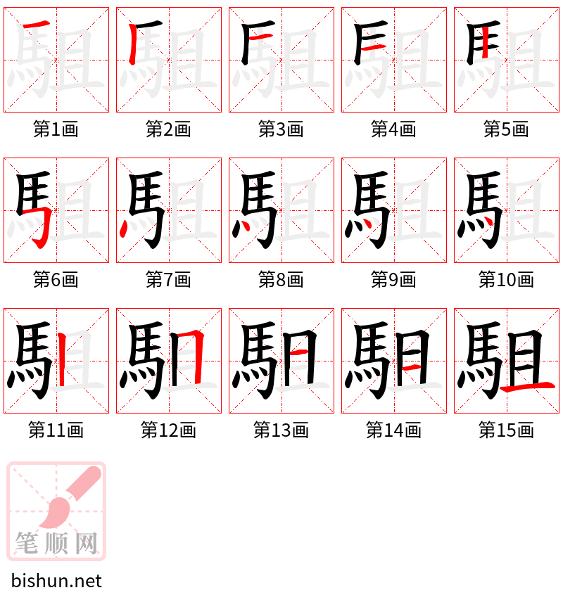 駔 笔顺规范