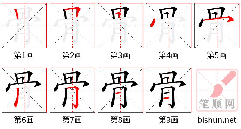 骨 笔顺规范