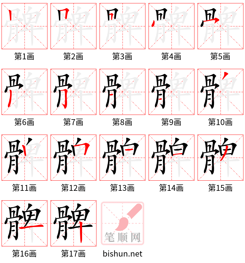 髀 笔顺规范