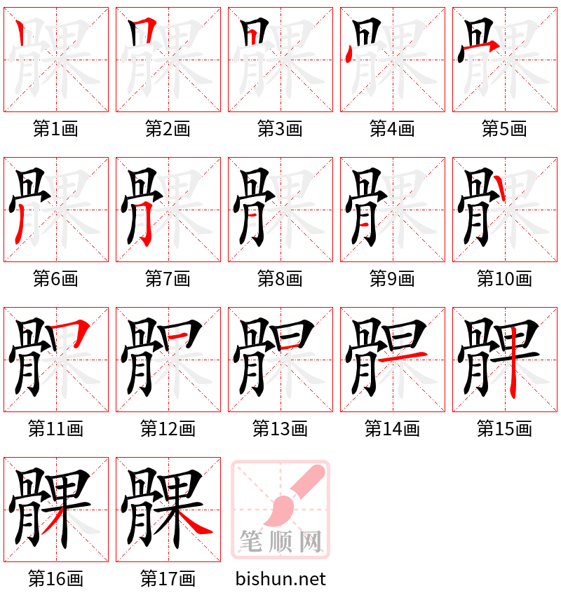 髁 笔顺规范