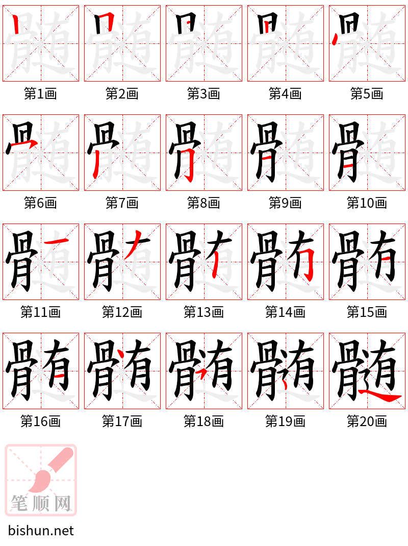 髄 笔顺规范