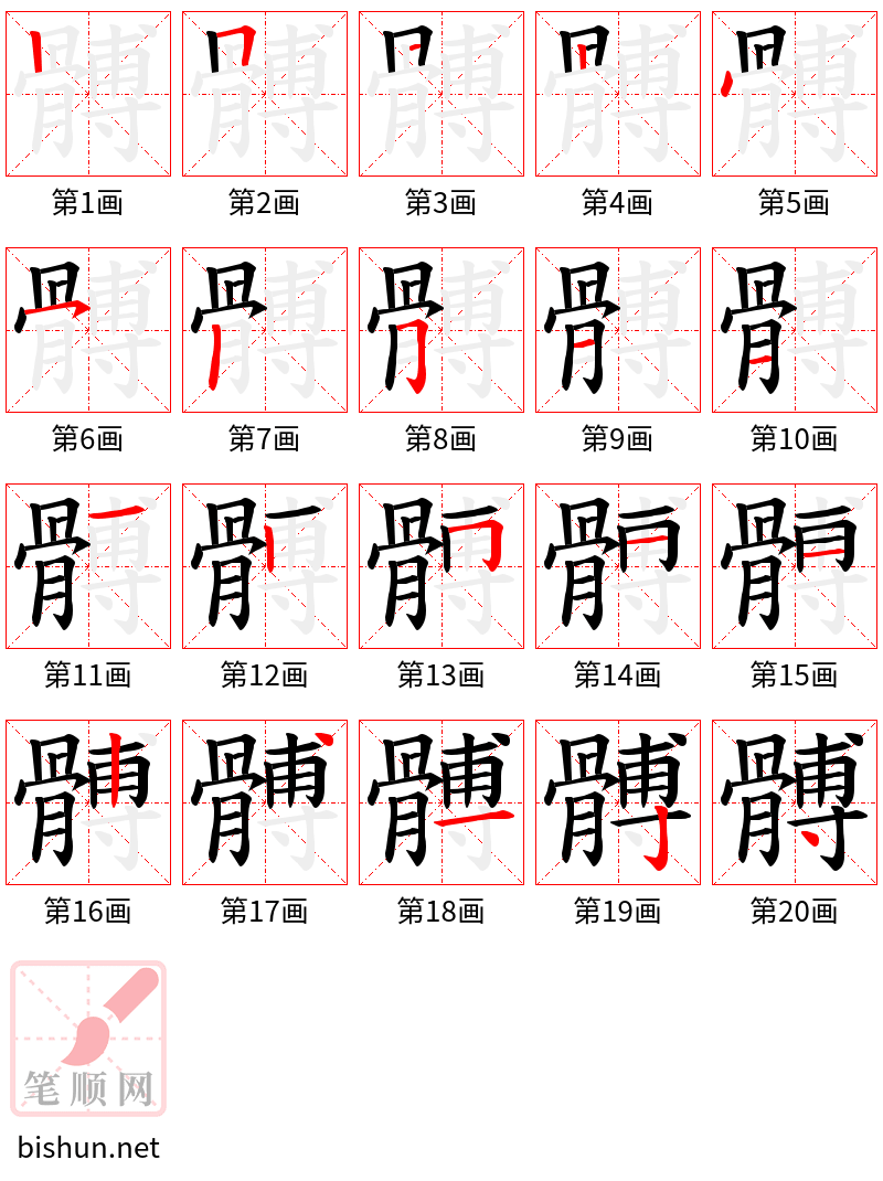 髆 笔顺规范