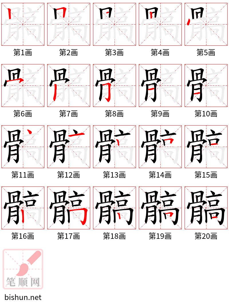 髇 笔顺规范