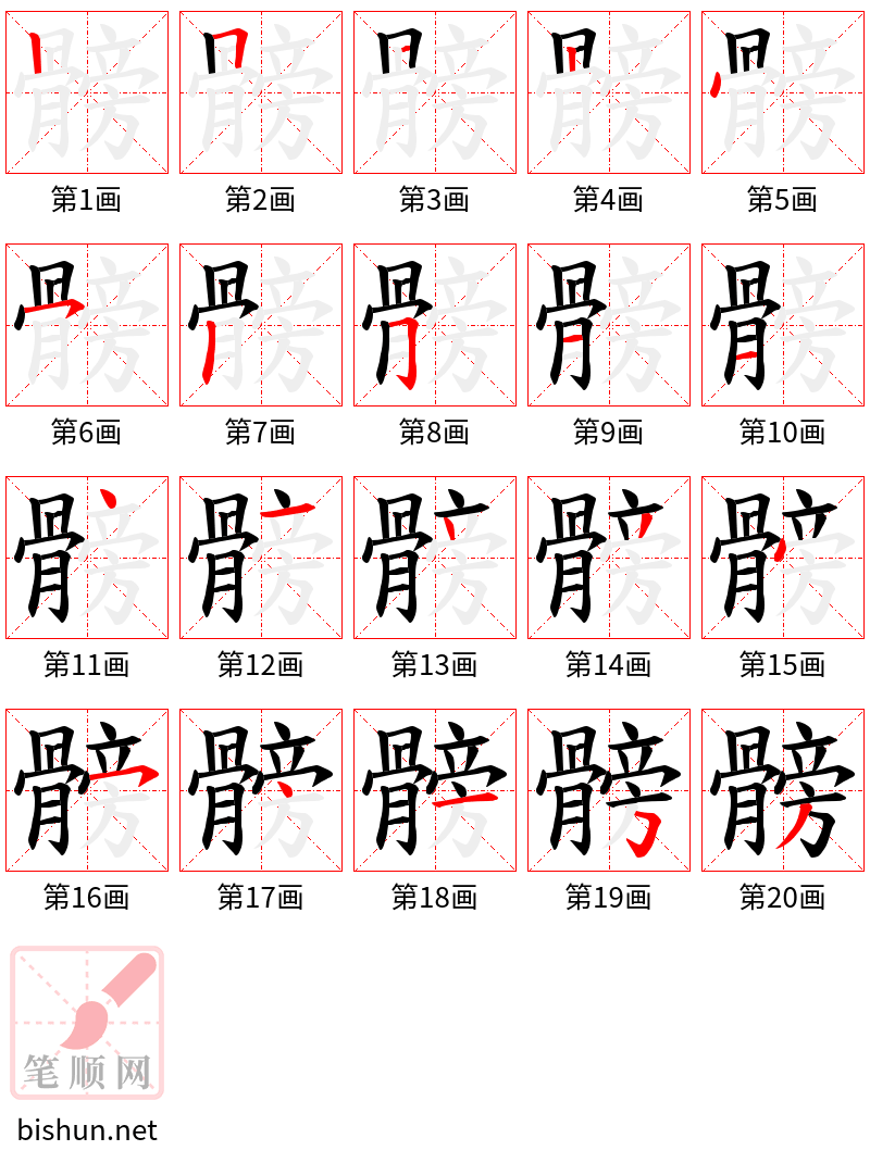 髈 笔顺规范