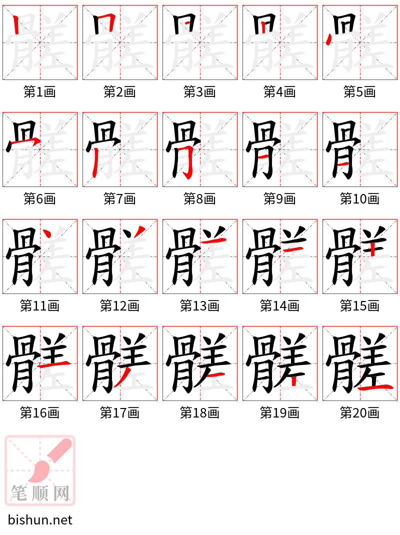 髊 笔顺规范