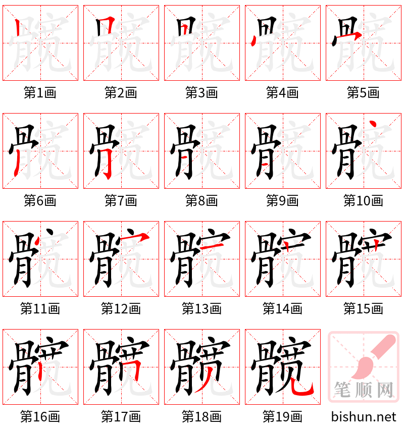 髋 笔顺规范