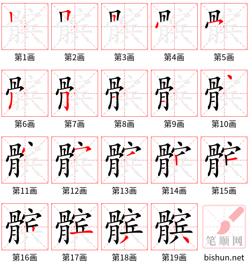 髌 笔顺规范