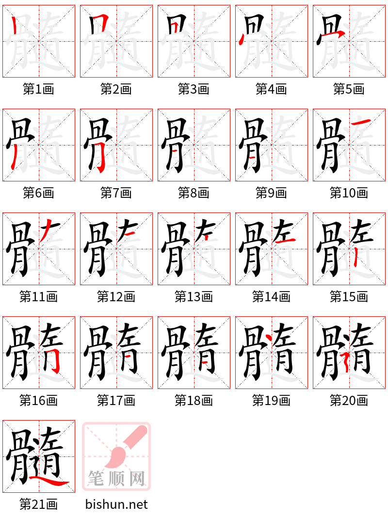 髓 笔顺规范