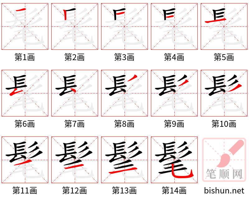 髦 笔顺规范