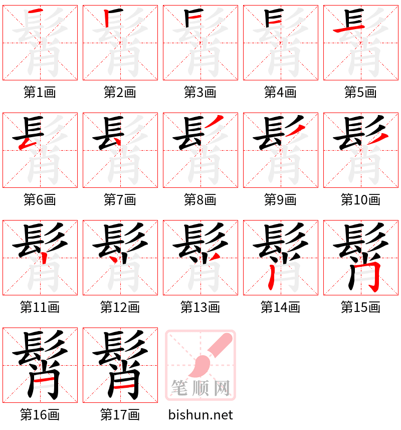 髾 笔顺规范