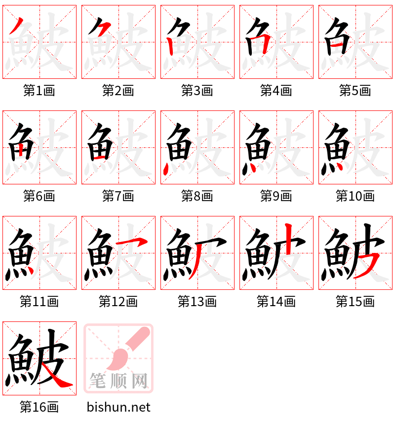 鮍 笔顺规范