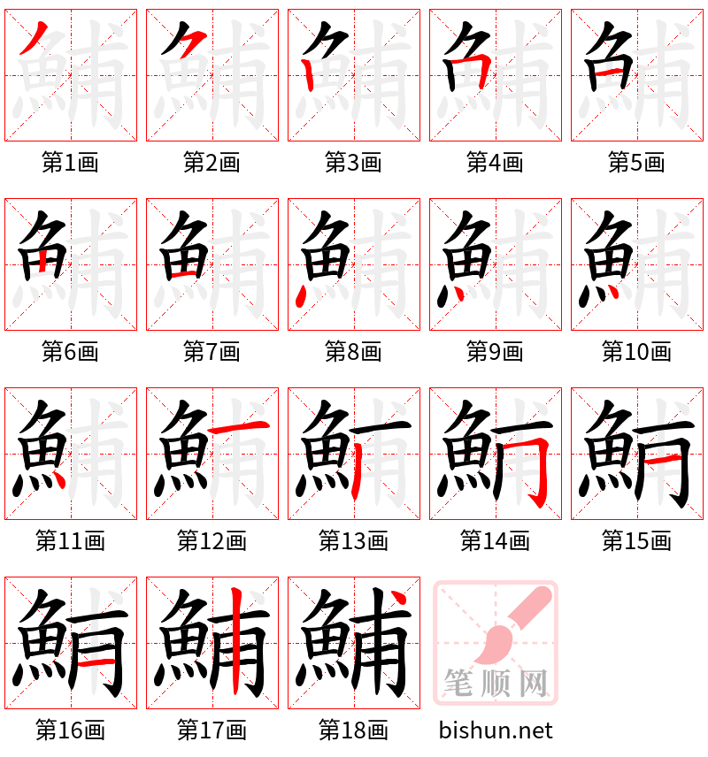 鯆 笔顺规范