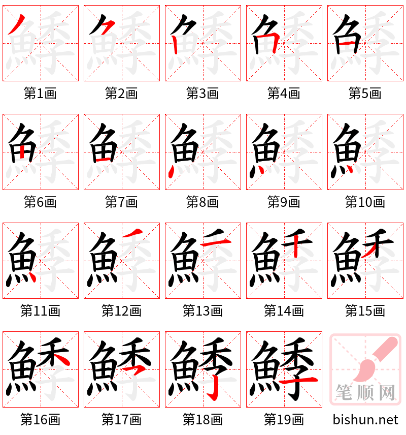 鯚 笔顺规范