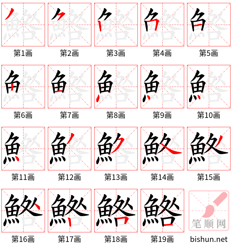 鯦 笔顺规范