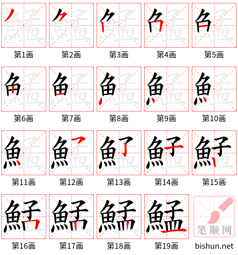 鯭 笔顺规范