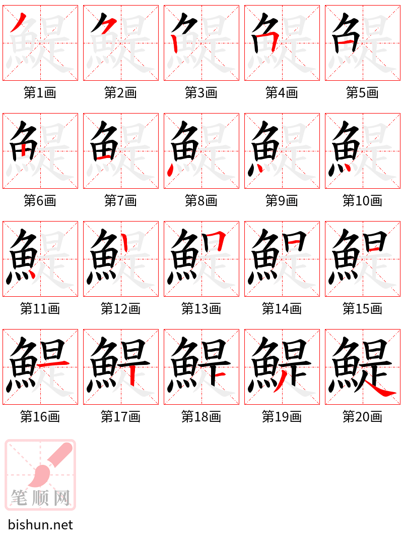 鯷 笔顺规范