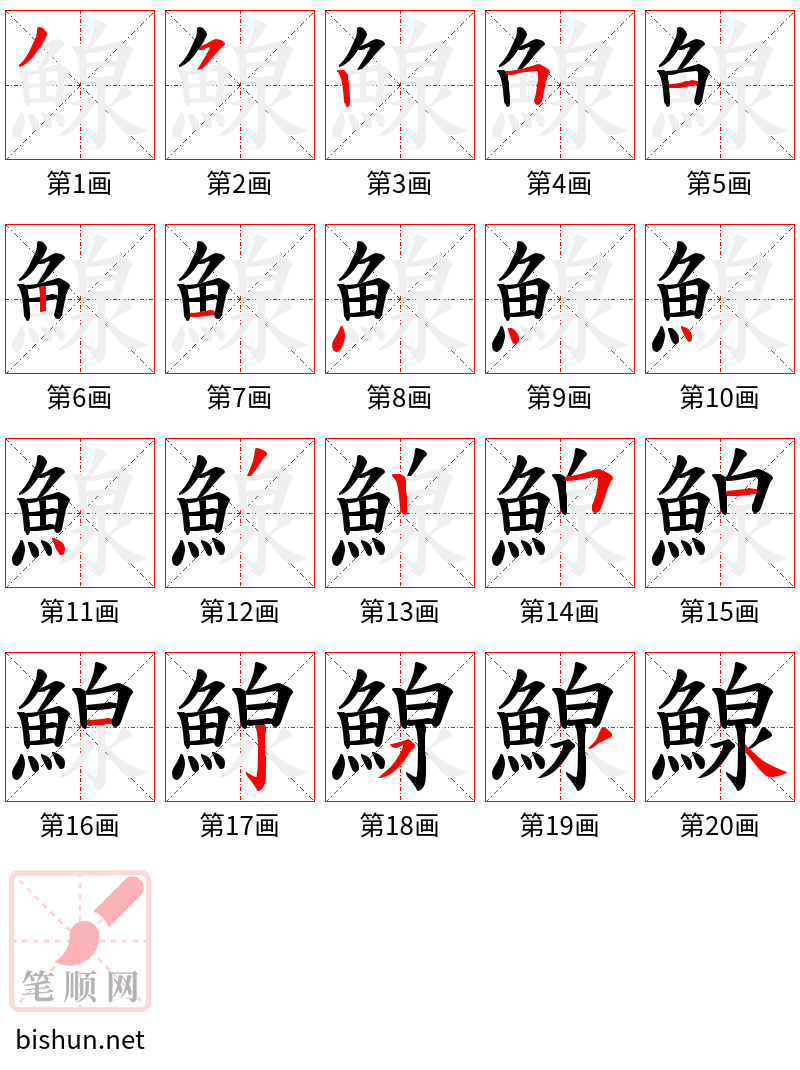 鰁 笔顺规范