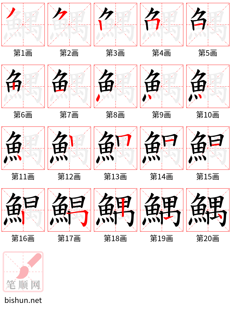 鰅 笔顺规范