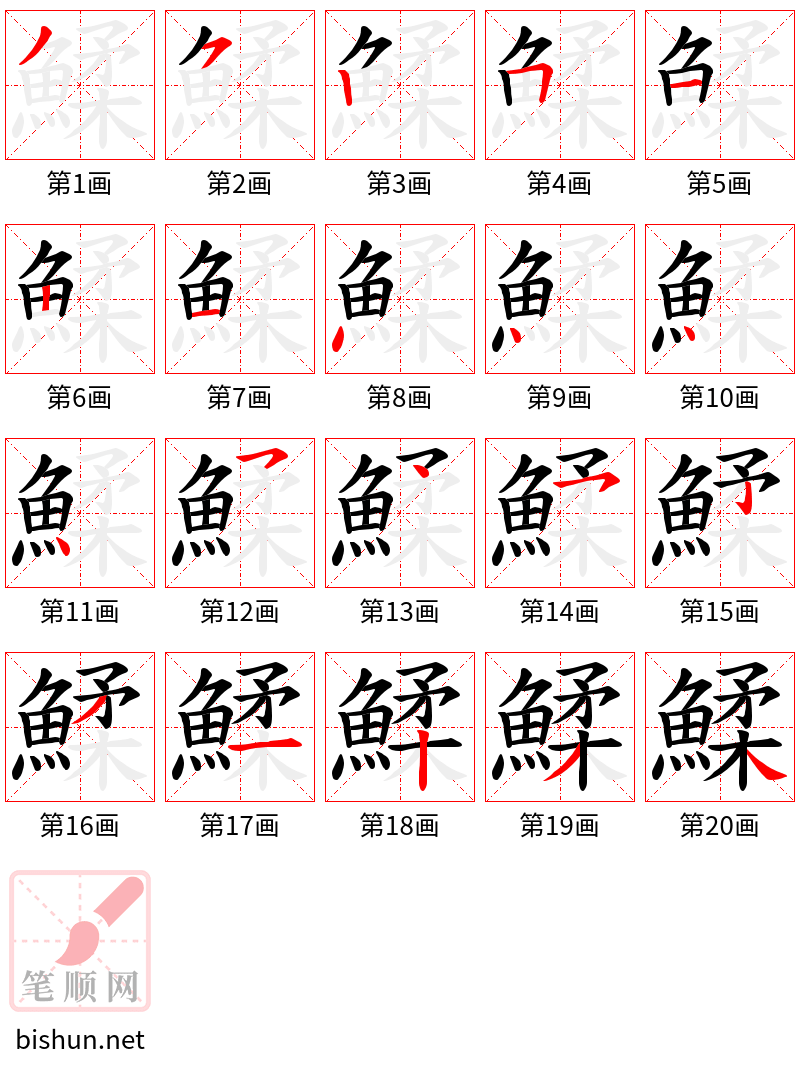 鰇 笔顺规范