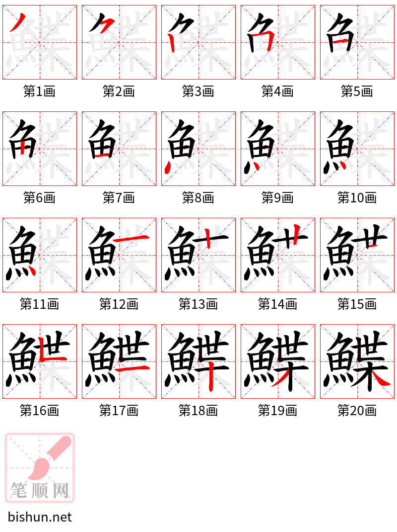 鰈 笔顺规范