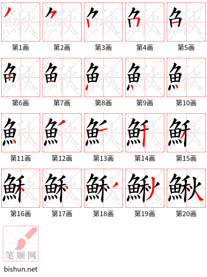 鰍 笔顺规范