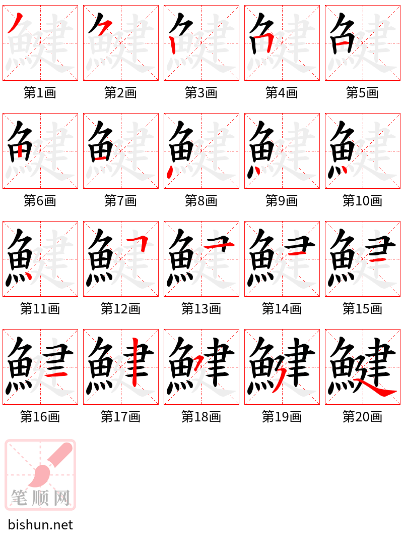 鰎 笔顺规范