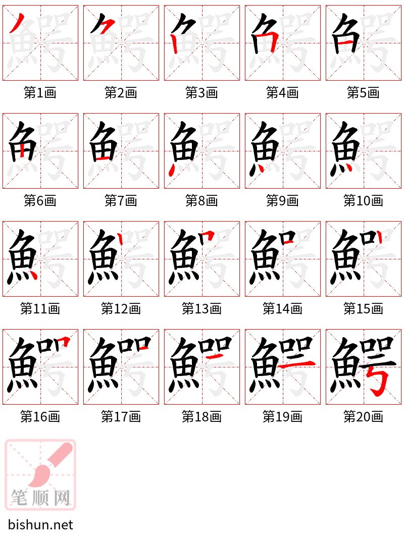 鰐 笔顺规范