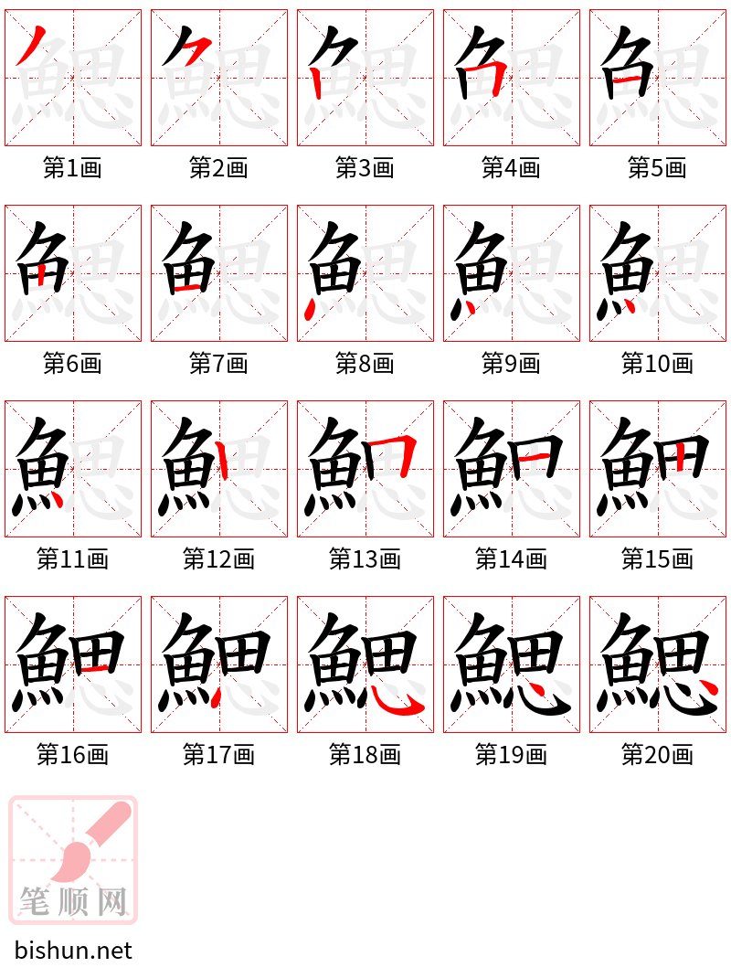 鰓 笔顺规范