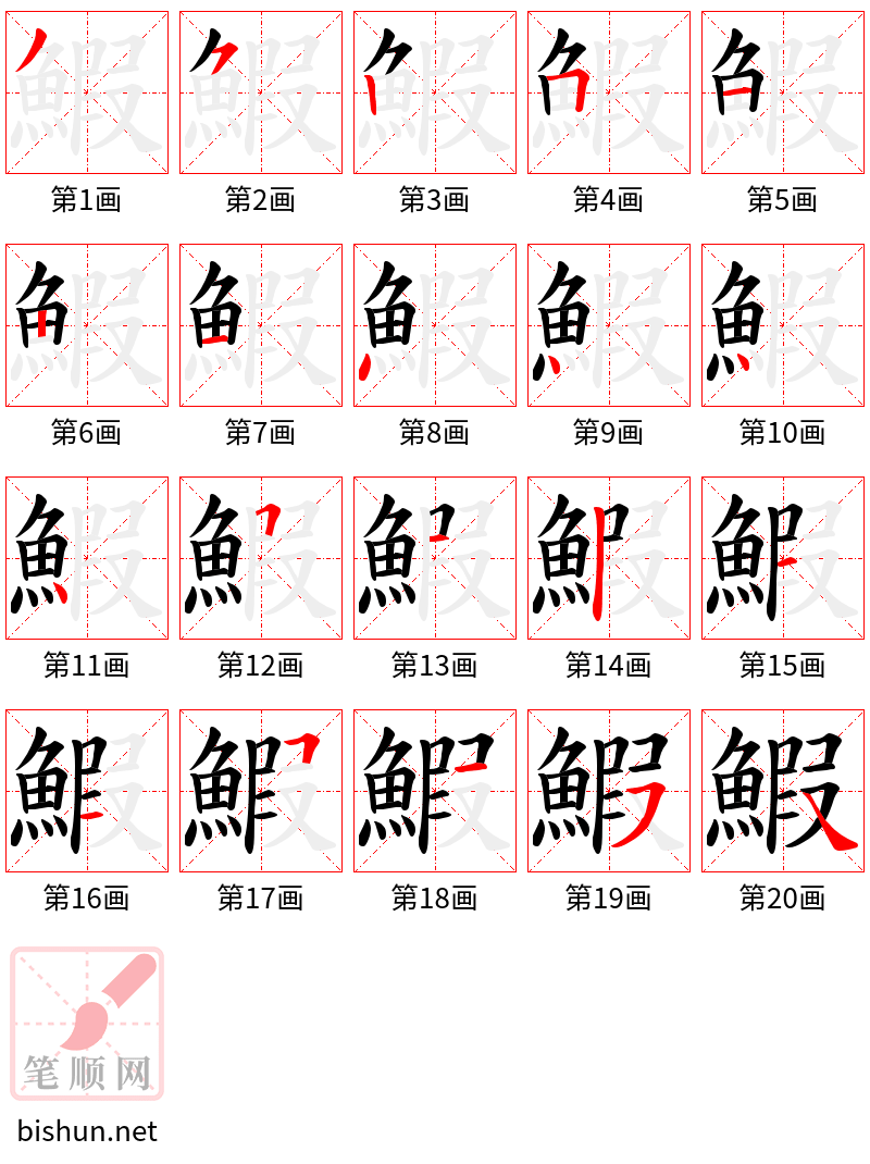 鰕 笔顺规范