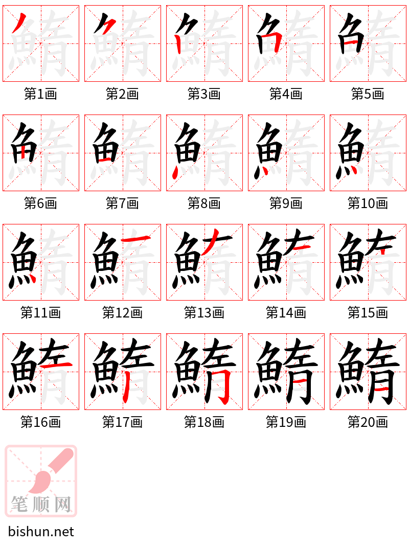 鰖 笔顺规范