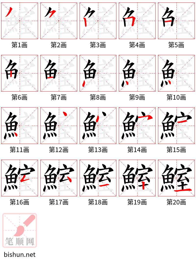 鰘 笔顺规范