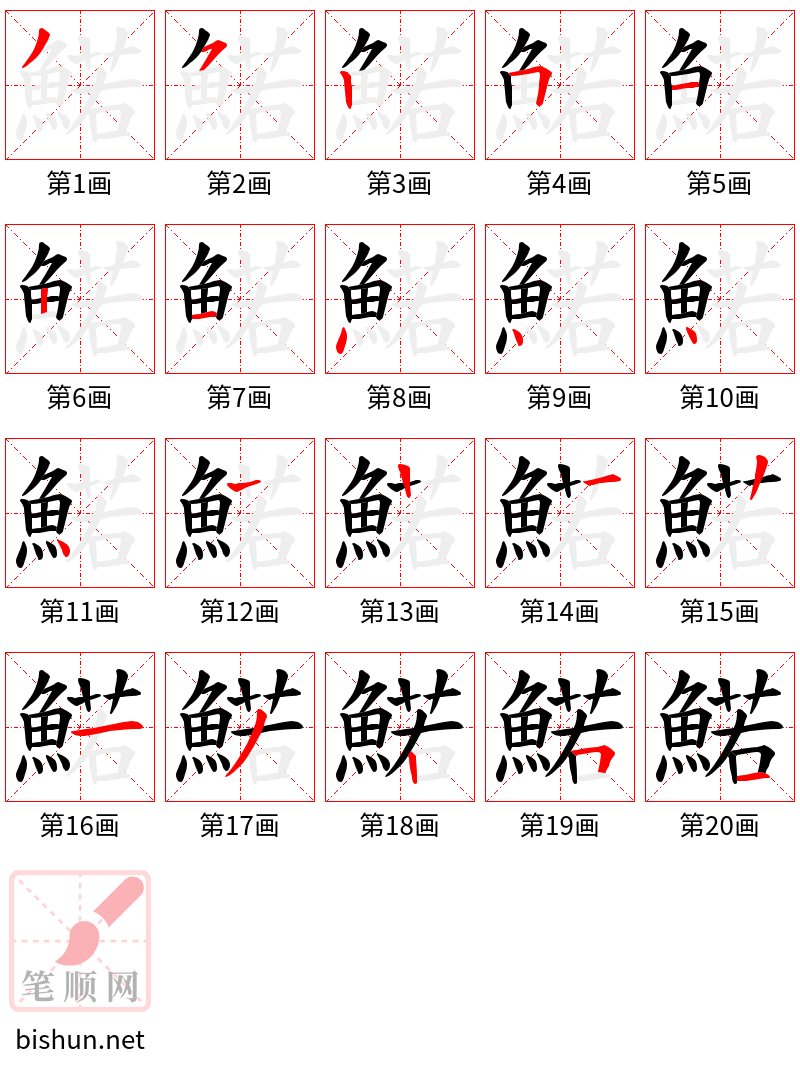 鰙 笔顺规范