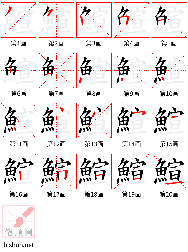 鰚 笔顺规范