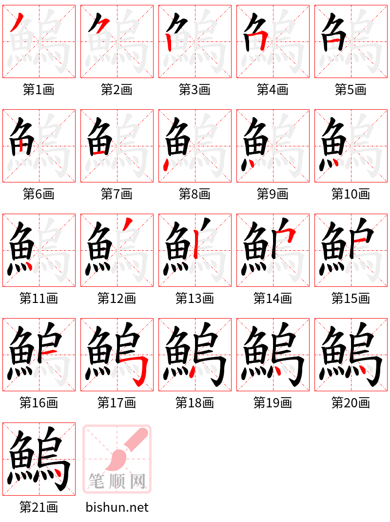 鰞 笔顺规范