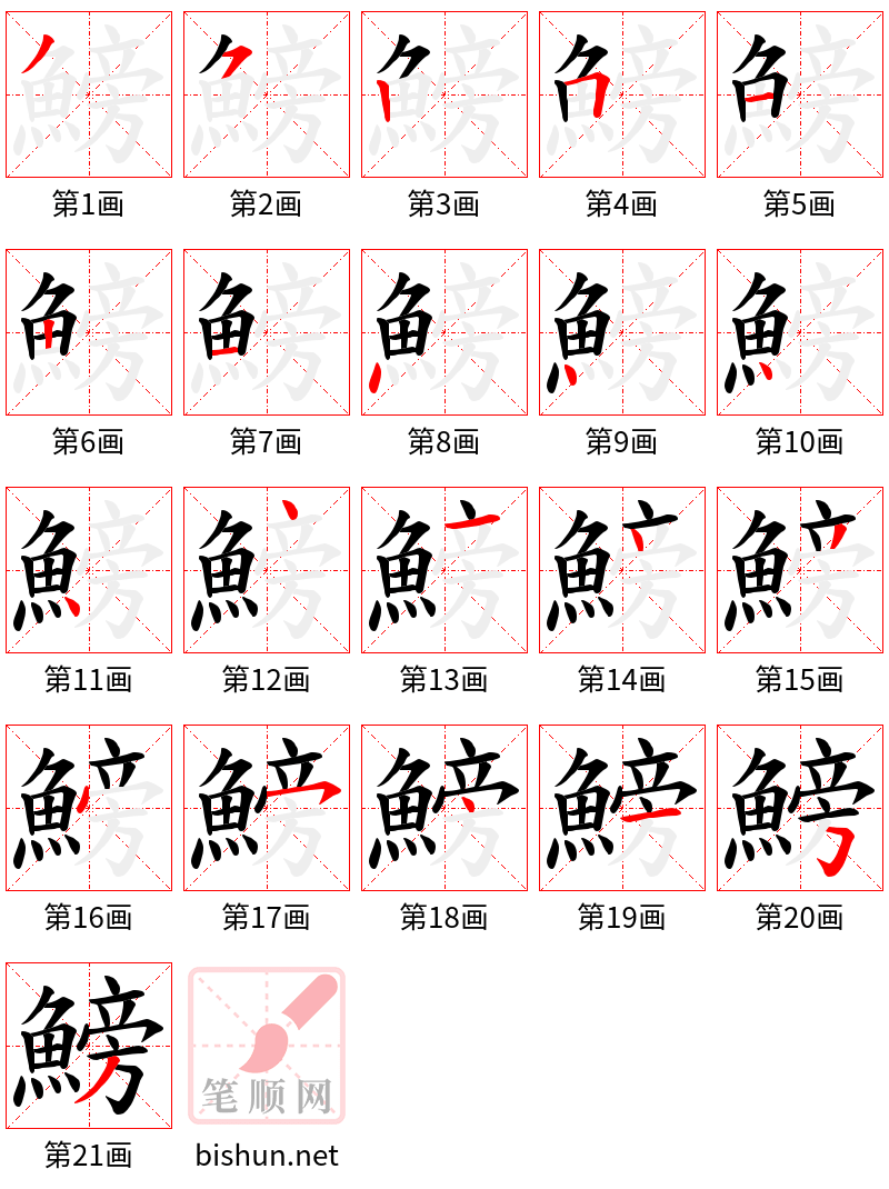 鰟 笔顺规范