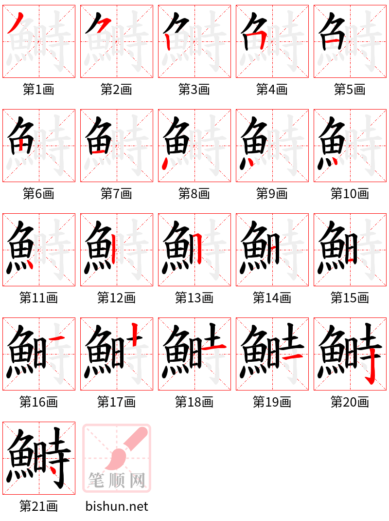 鰣 笔顺规范