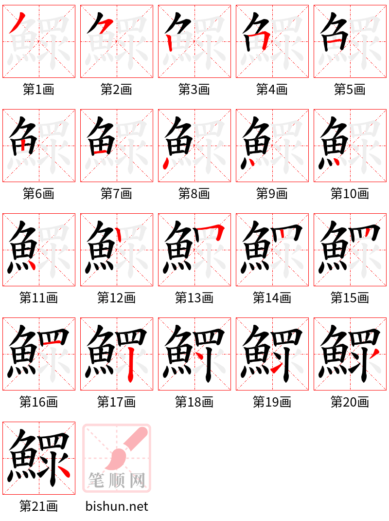 鰥 笔顺规范