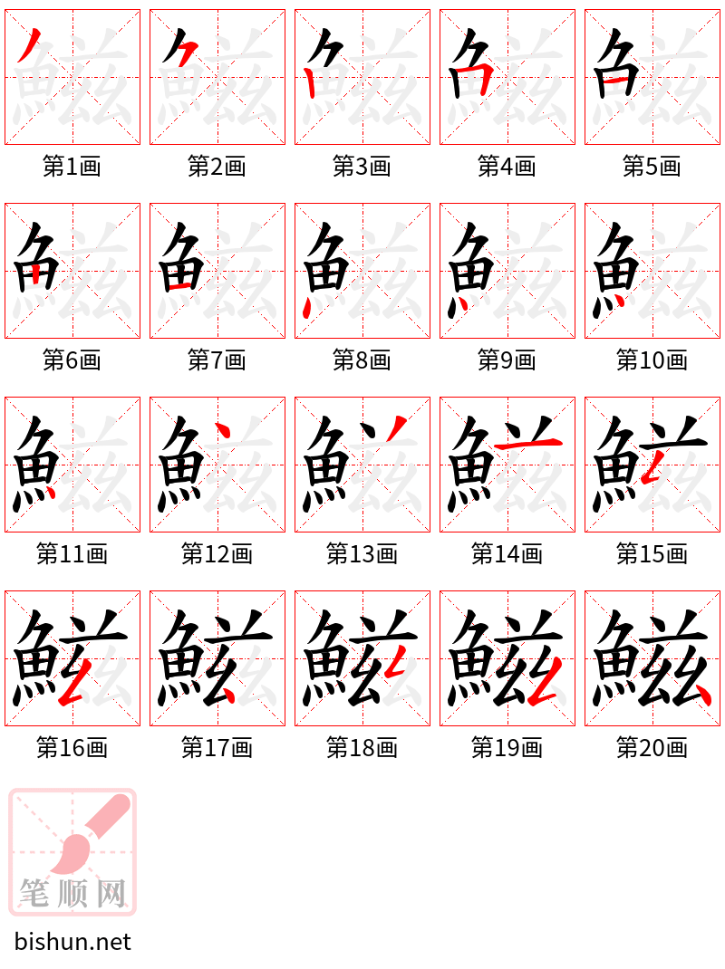 鰦 笔顺规范