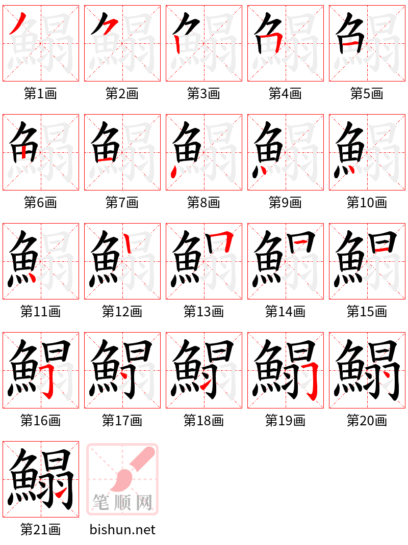 鰨 笔顺规范