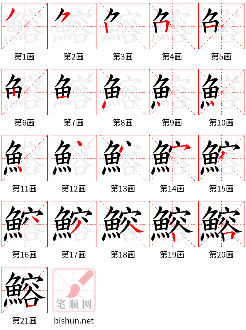 鰫 笔顺规范